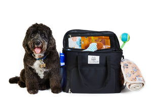 Our Sister Site WaggyCaddy.com (For Dogs!) Is Live!